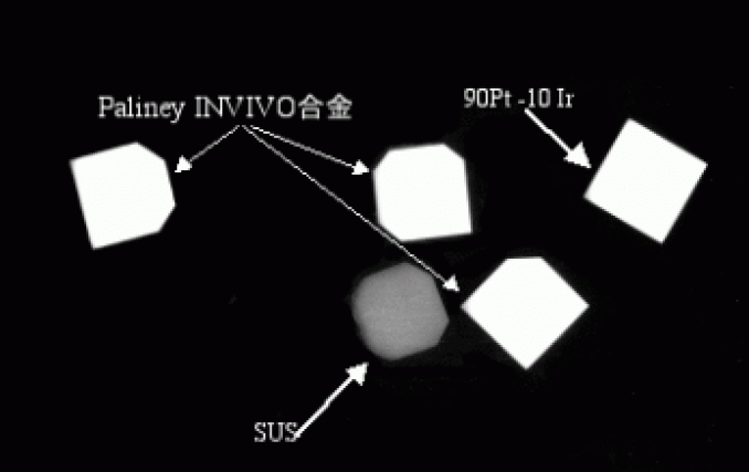 X線不透過材料 Paliney-Invivo